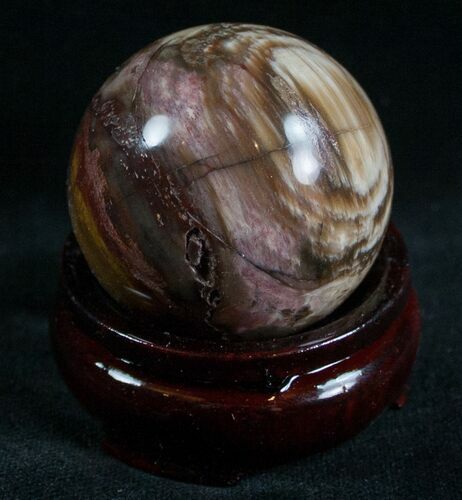 Colorful Petrified Wood Sphere #6803